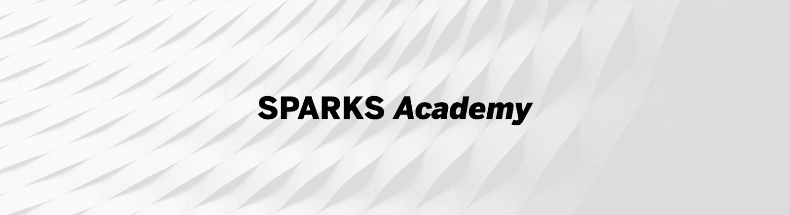 SPARKS Academy – Gestaltung der Kompetenzen